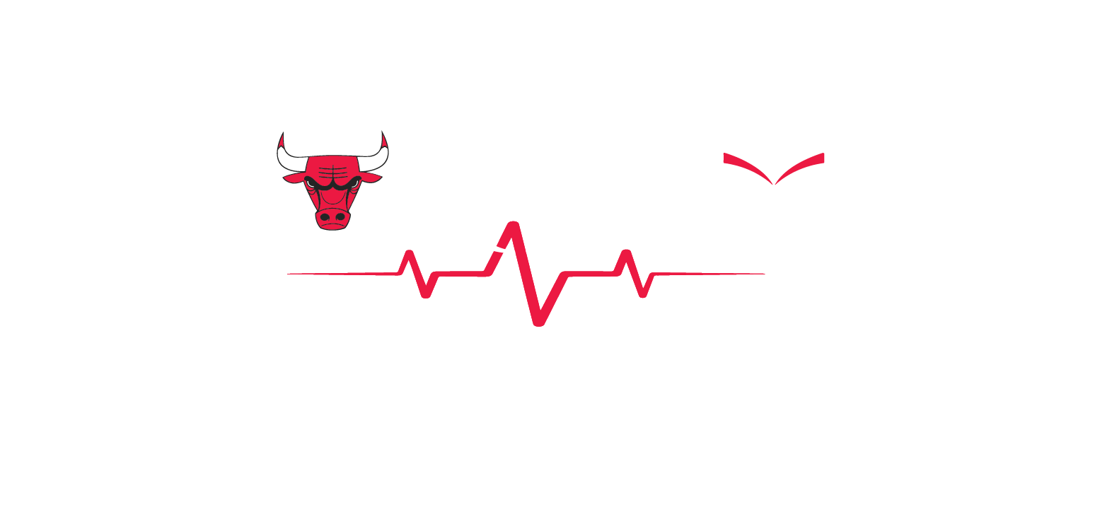 Chicago Book Clinic